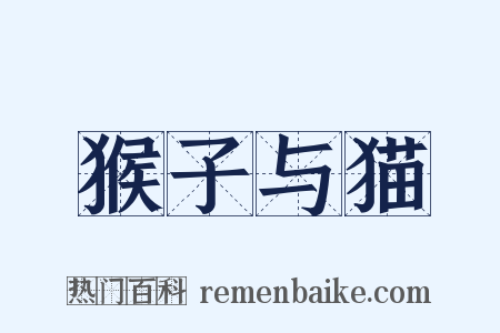 猴子与猫是什么意思的图片